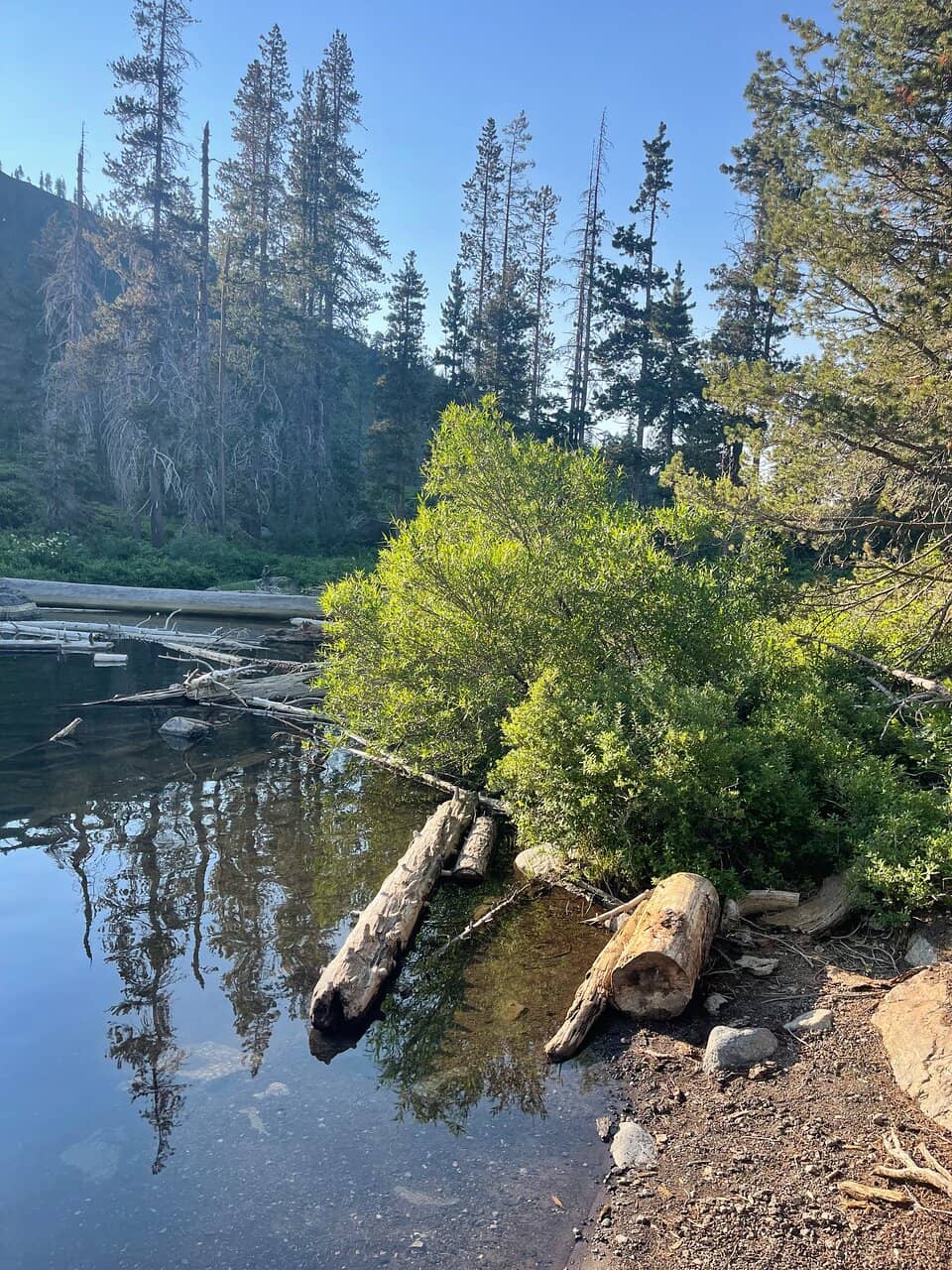 Mount Shasta Alpenglow