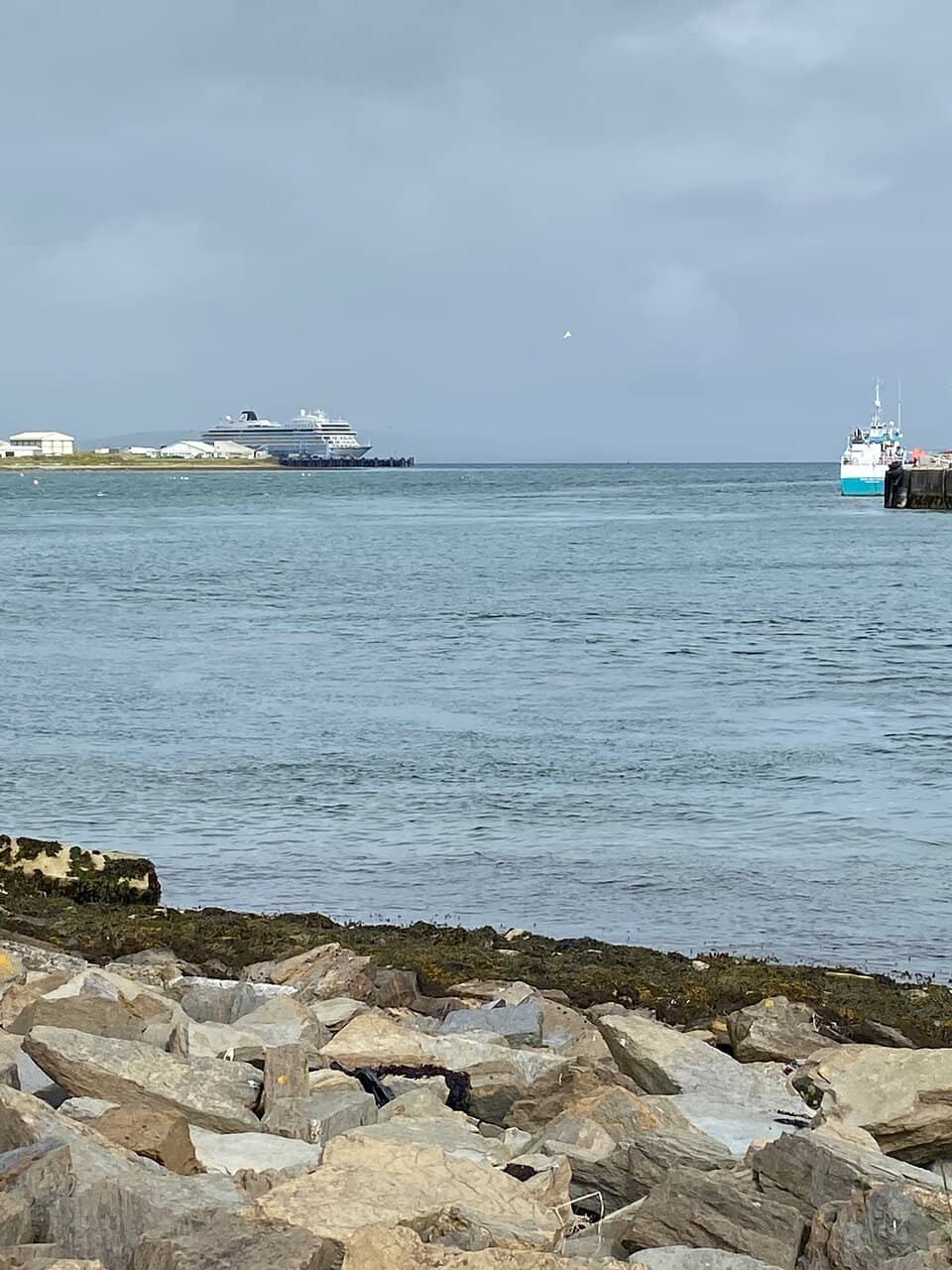 Kirkwall Marina Boats