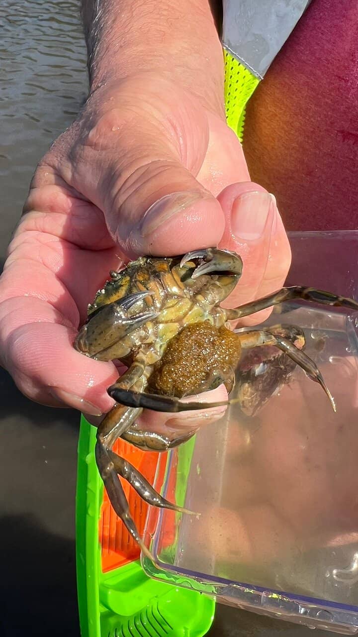 Coastal Hiking Trails
