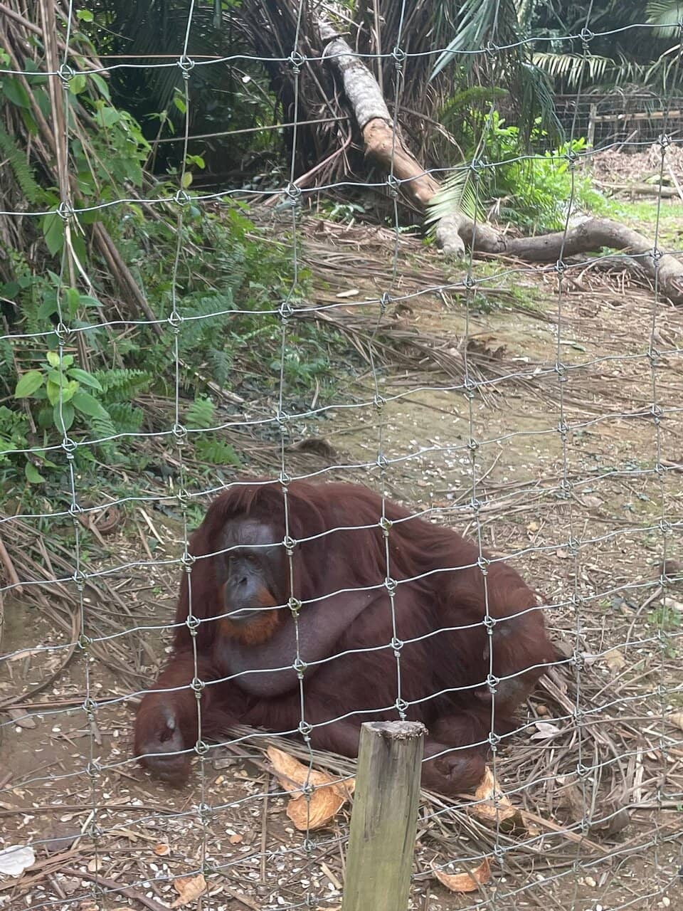 Conservation Insights