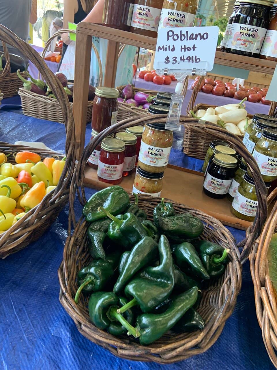 Vibrant Flower & Plant Selection