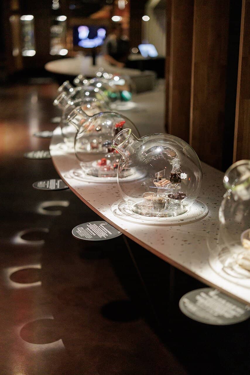 Wine Tasting Experience