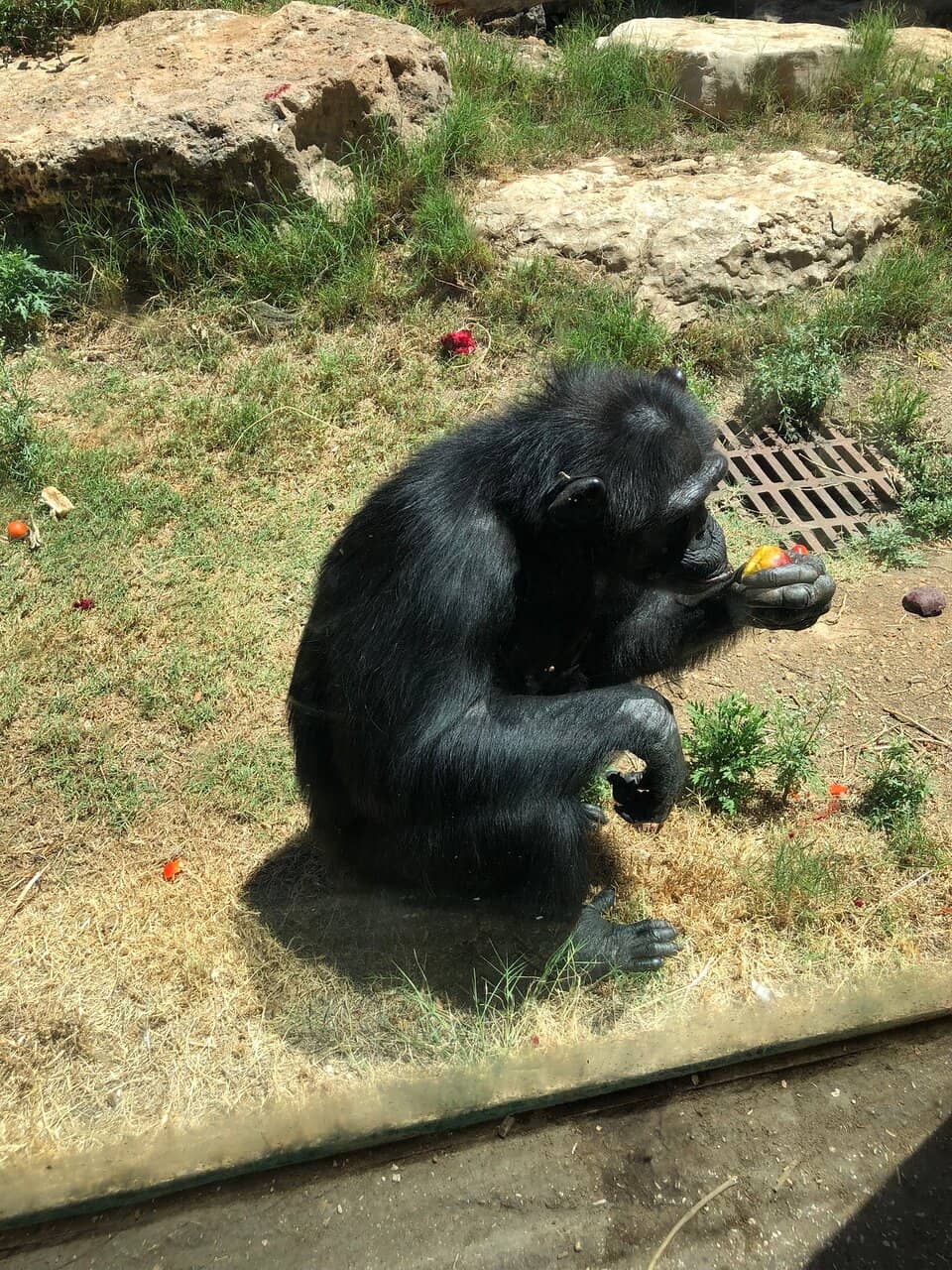 Outdoor Exercise Zone