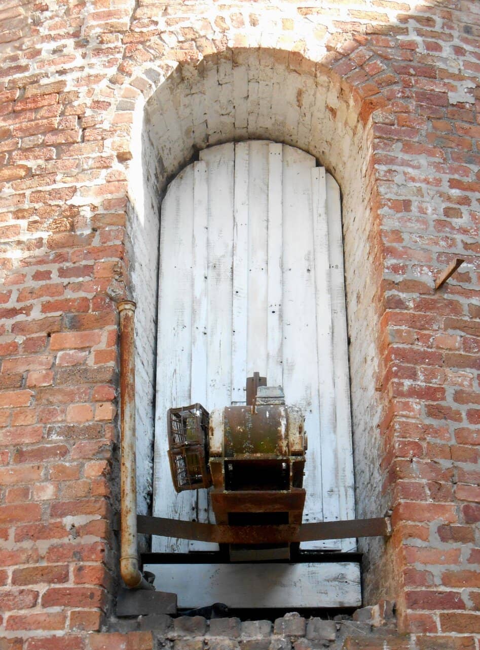 Peregrine Falcon Nest