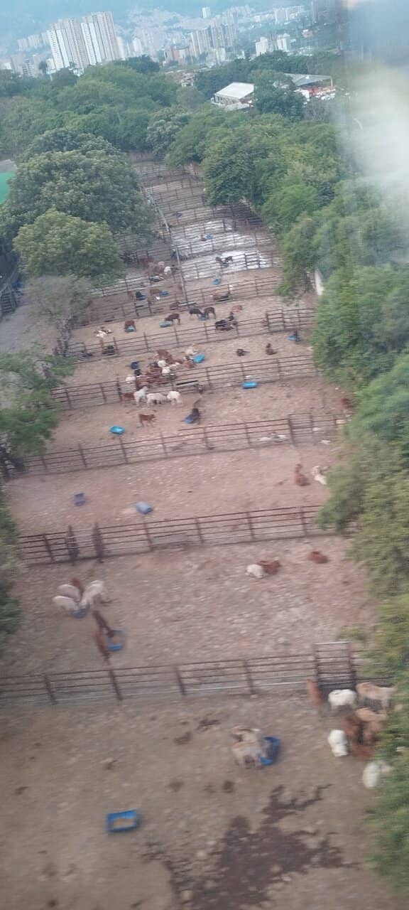 Panoramic Medellín Views