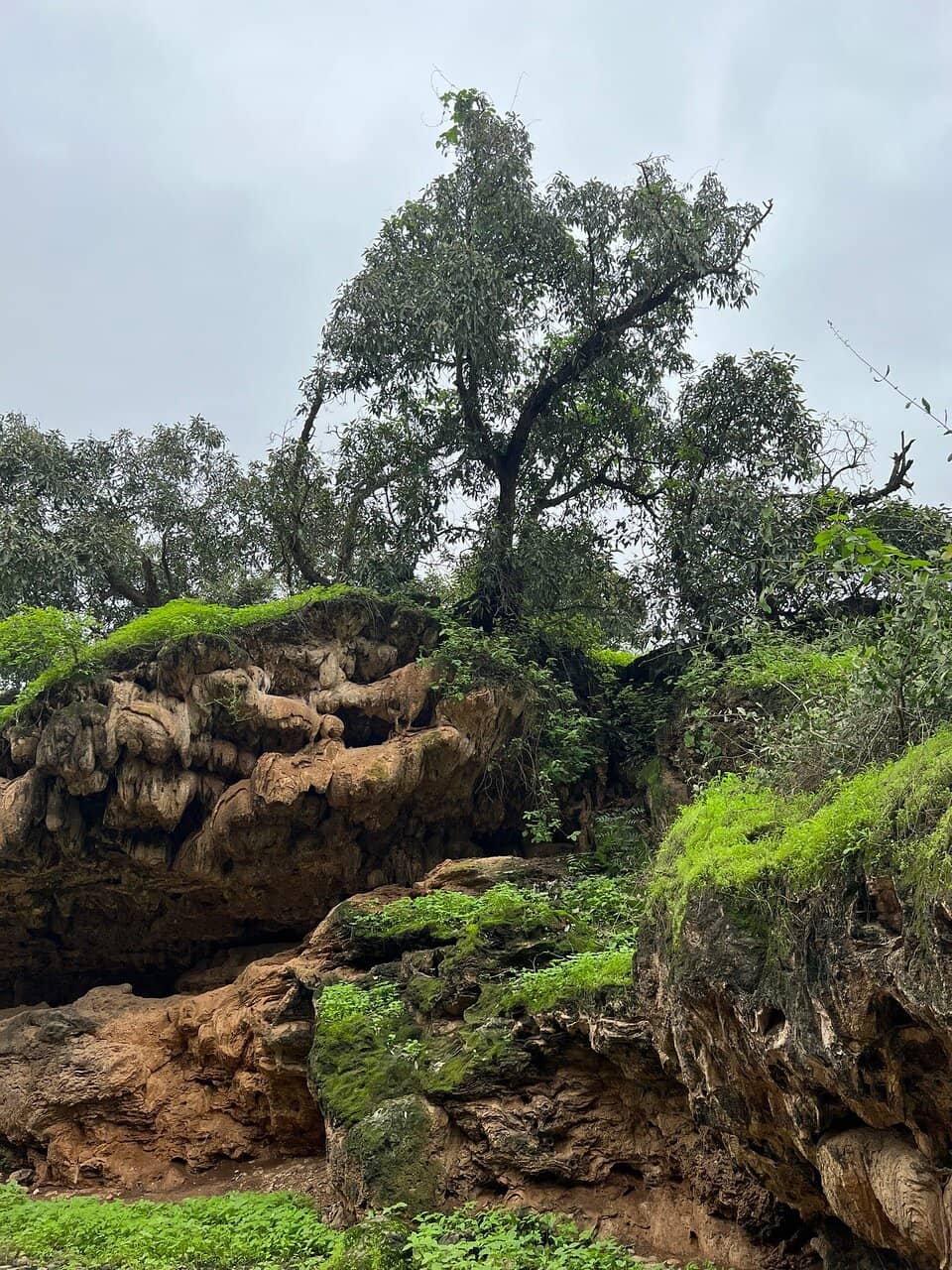 Wadi Sahalnoot Exploration