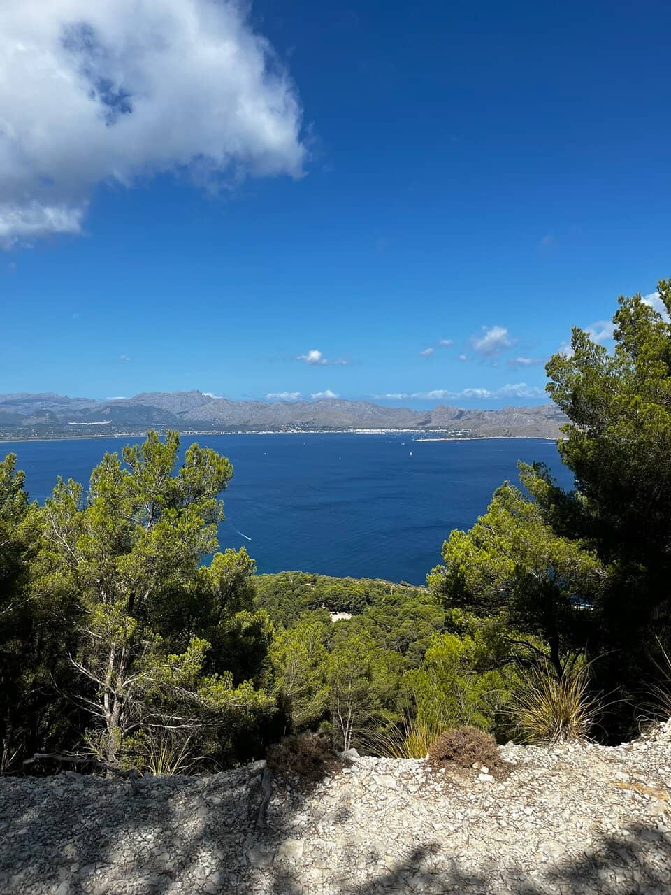 Panoramic Bay Views