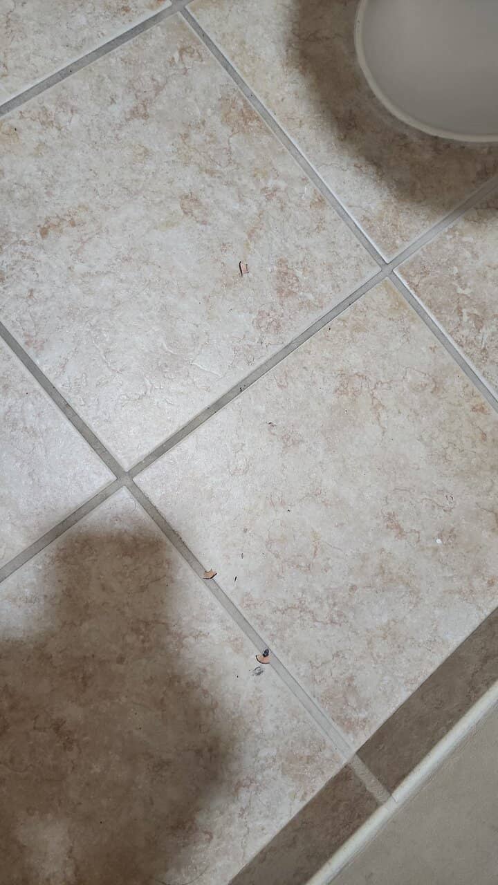 Teenage Tube Slide Adventure