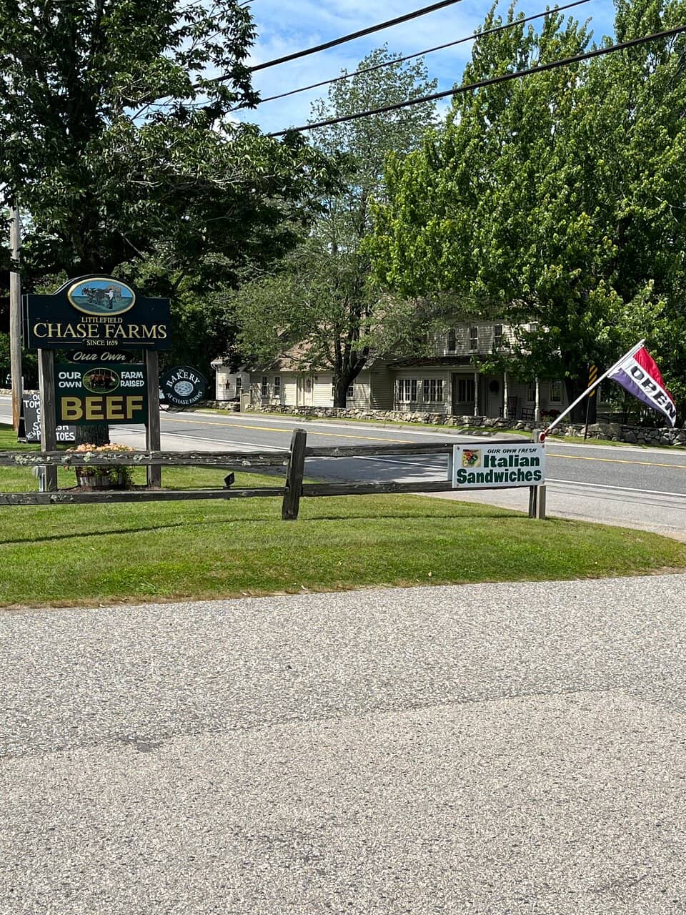 Dog-Friendly Freedom