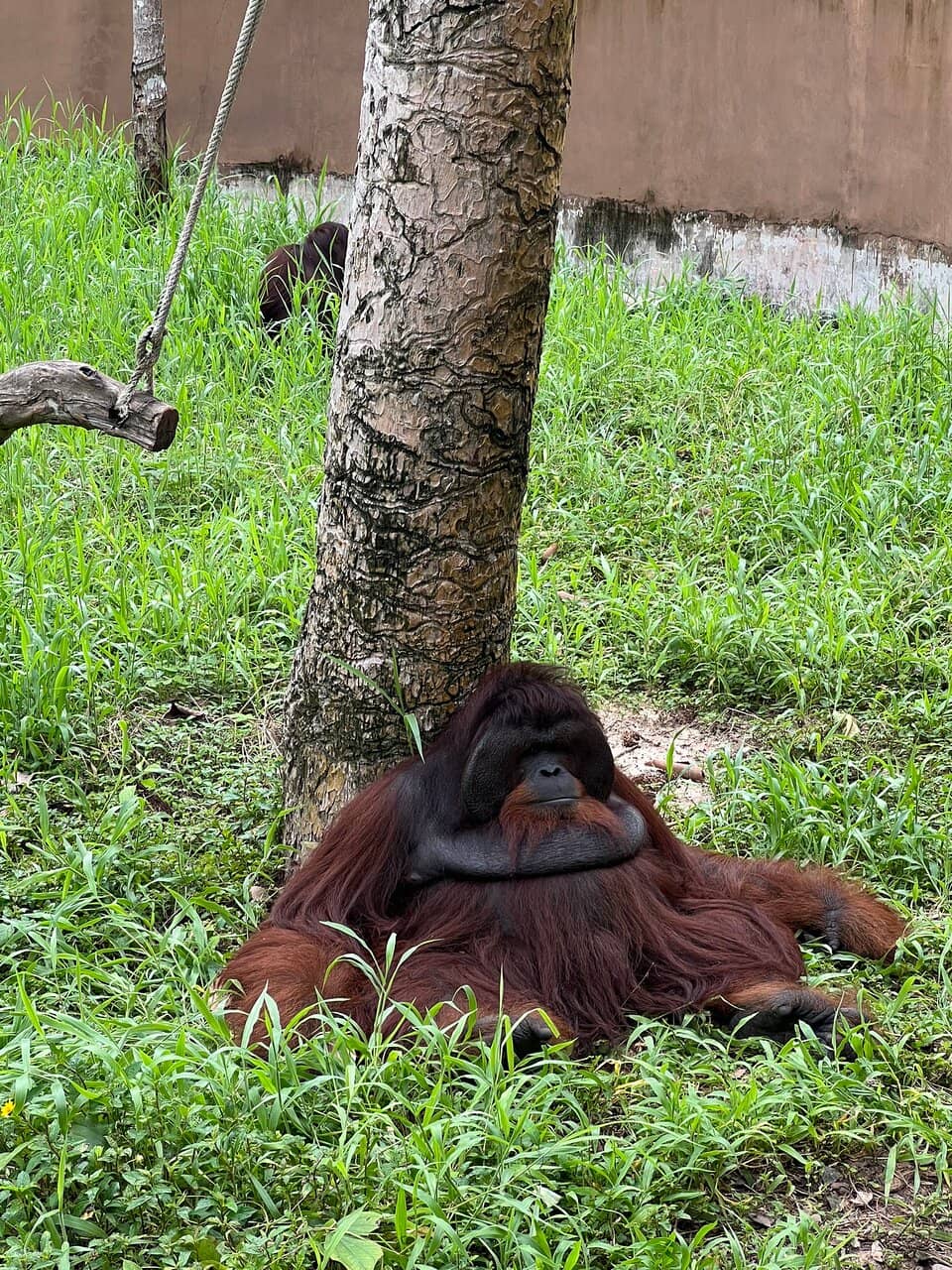 Bicycle-Friendly Trails