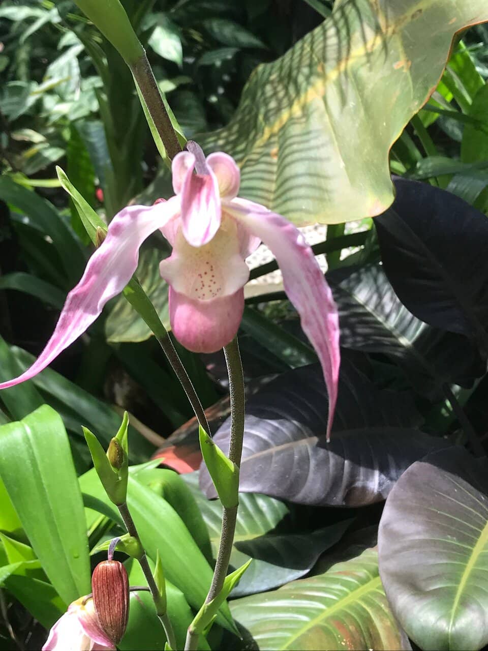 Knowledgeable Guided Tours