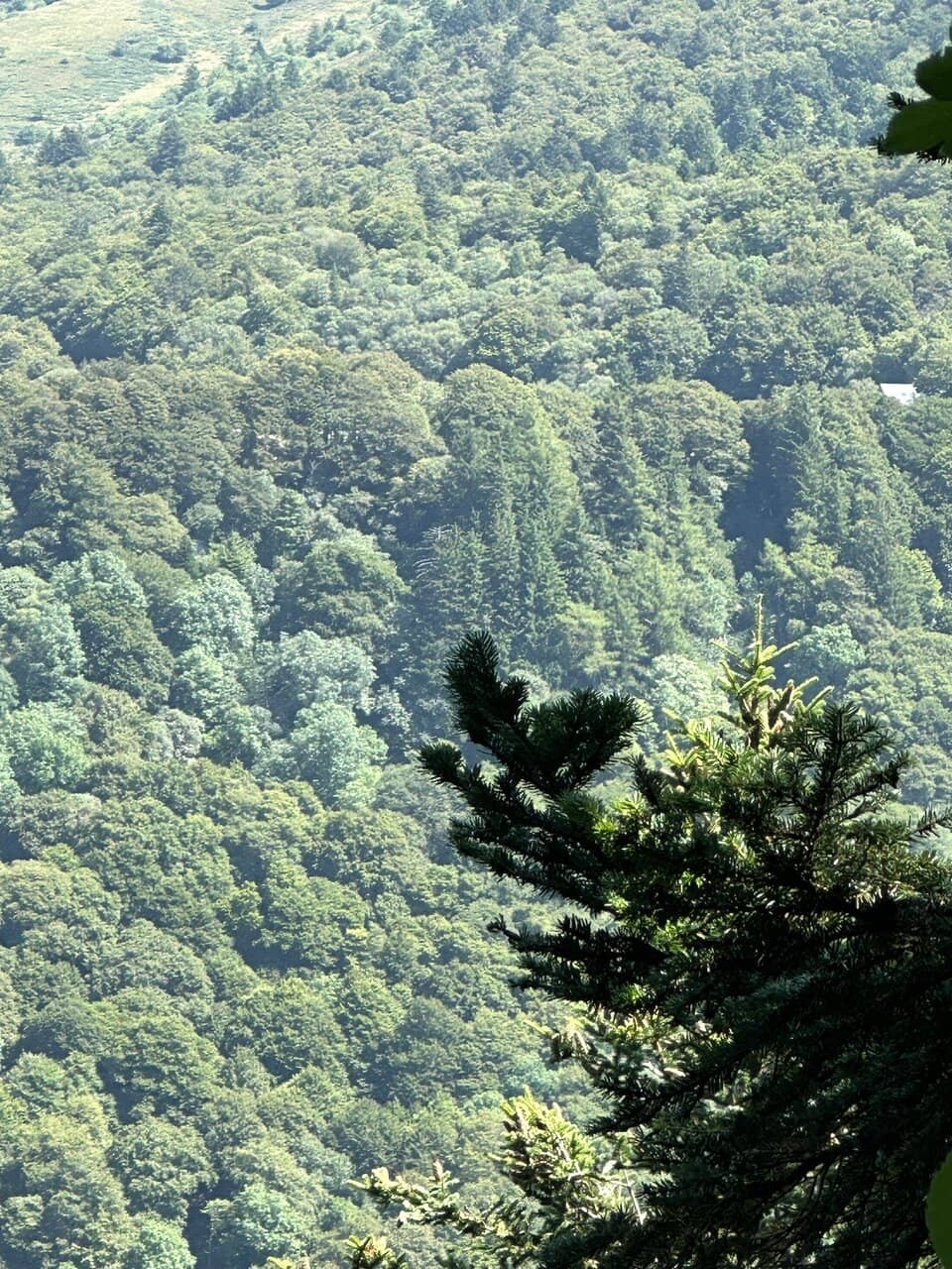 Machinery Observation