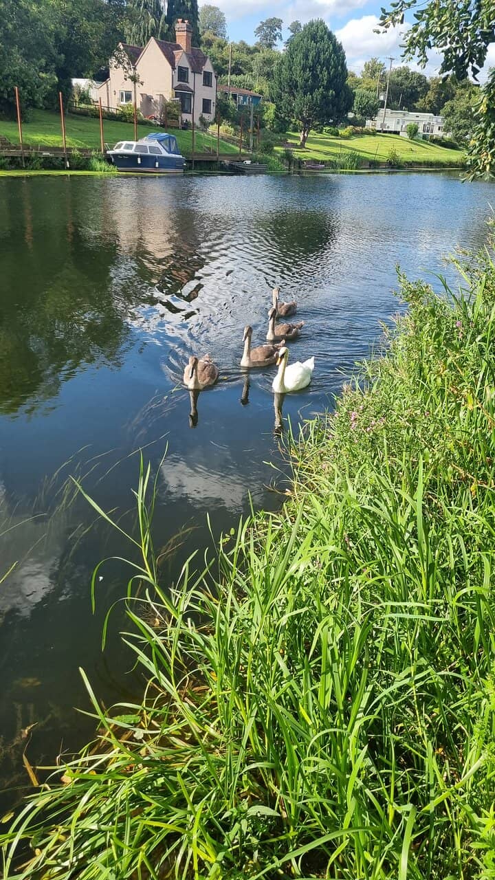 Riverside Cafe & Views