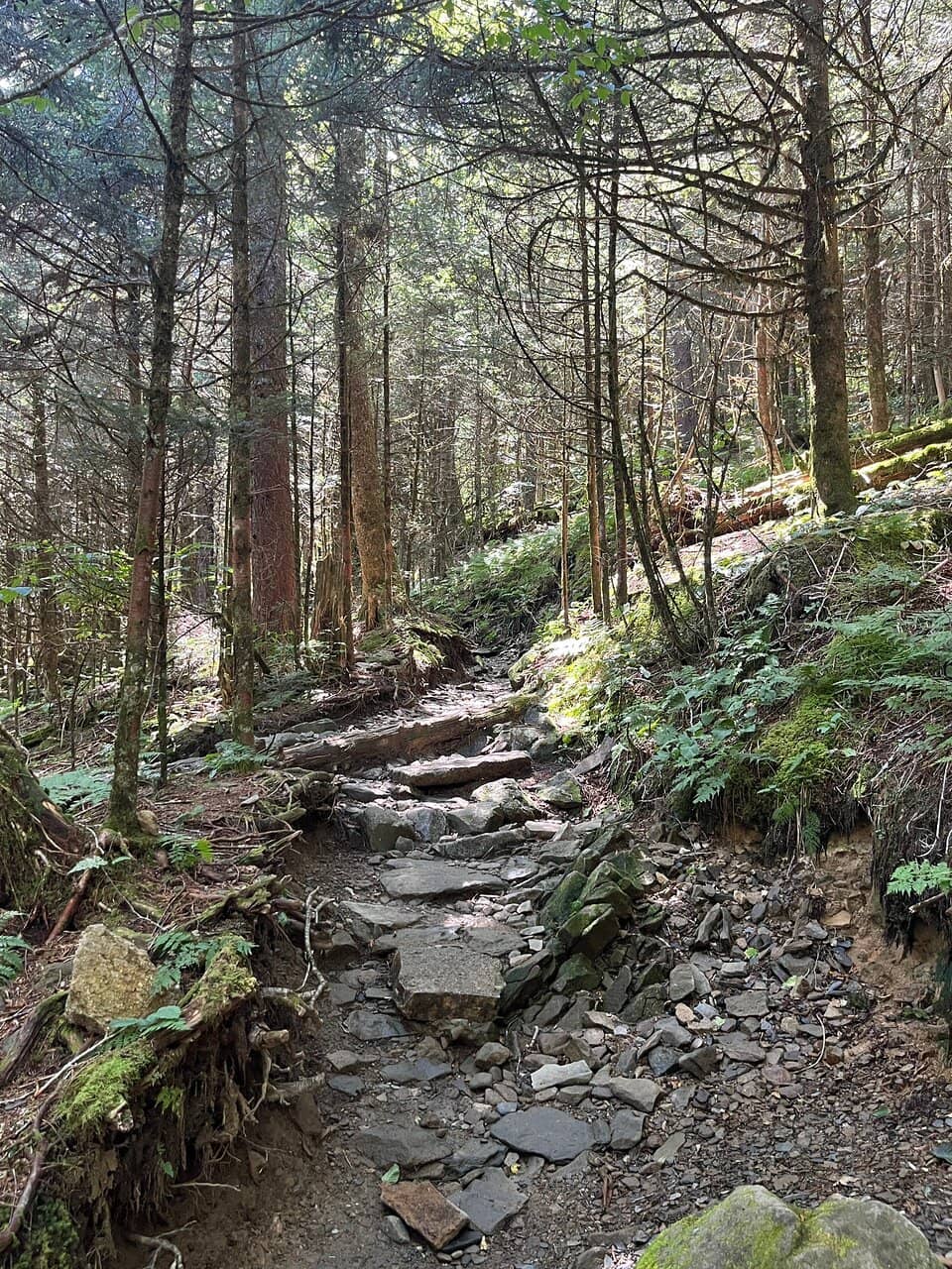 Appalachian Trail Section