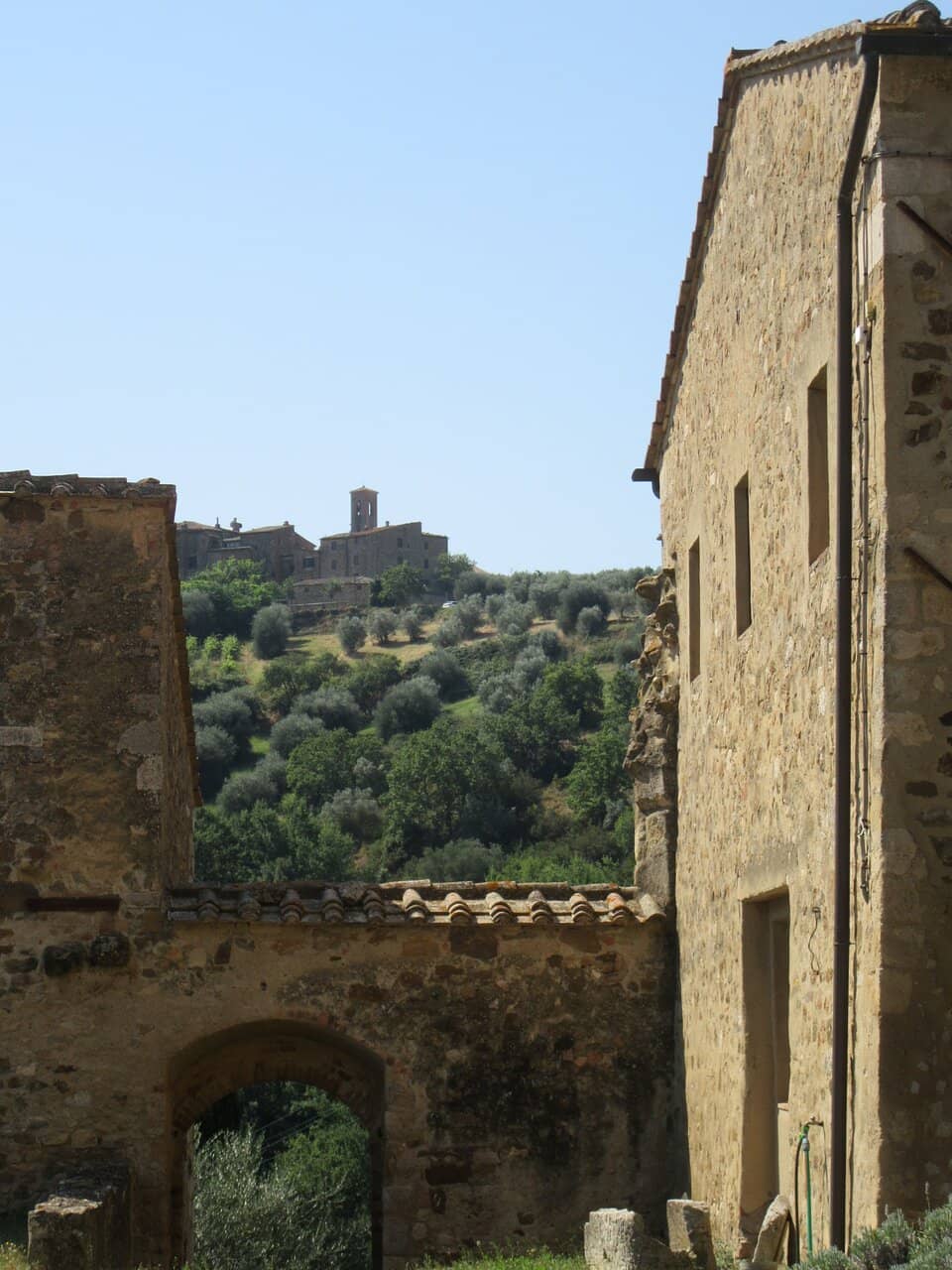 Monastic Pharmacy Goods