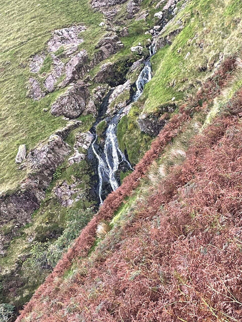 Optional Hike to the Top