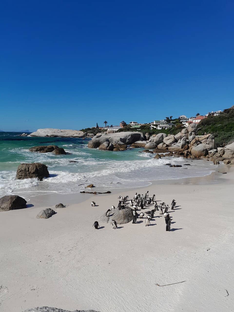 Dual Viewing Platforms