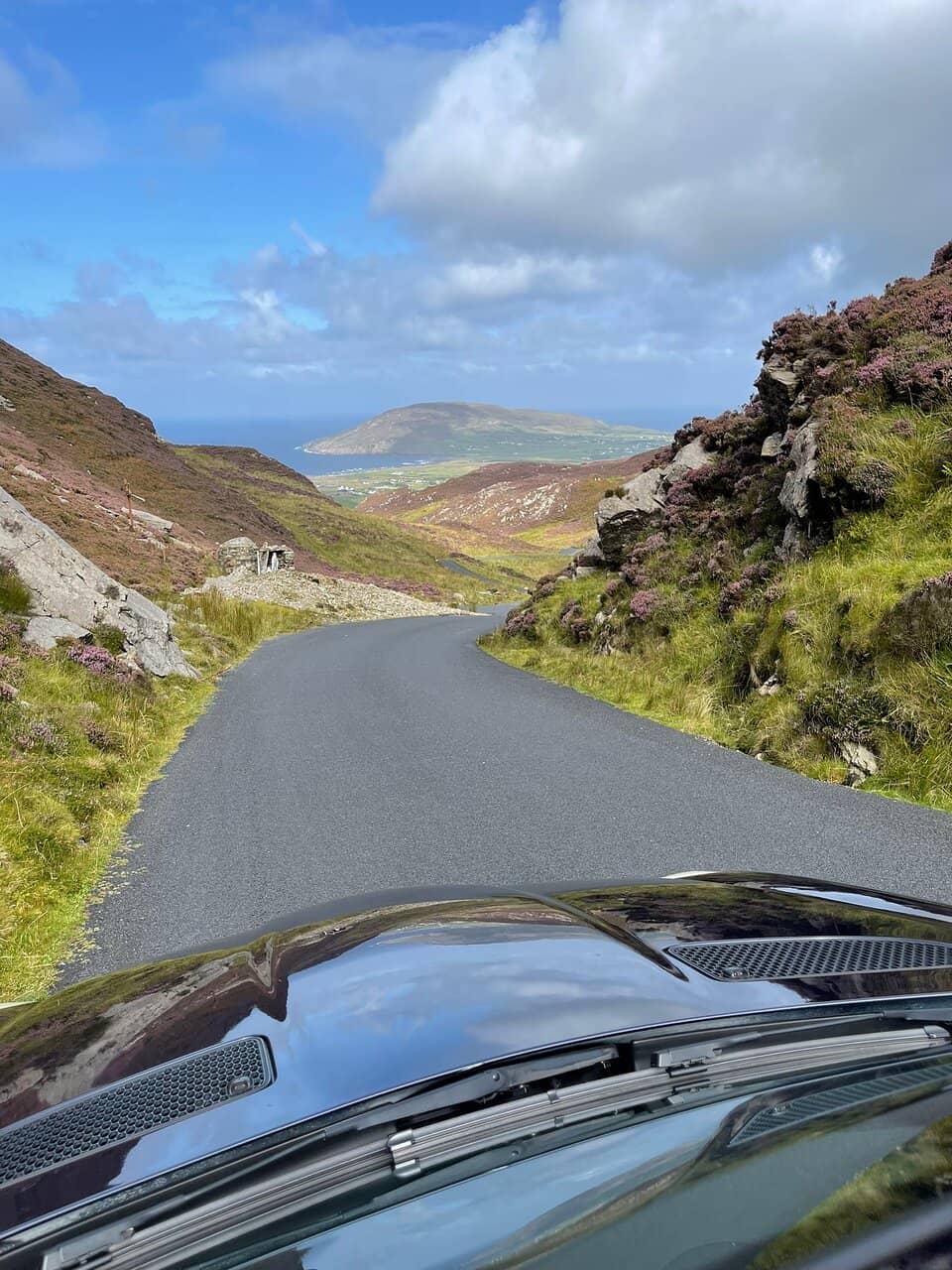 Local Knowledge & Recommendations