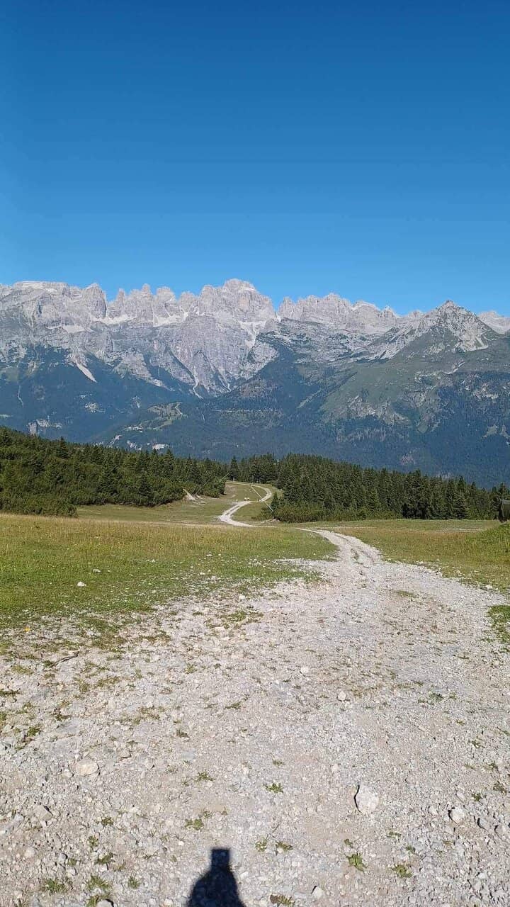 Summer Hiking Trails