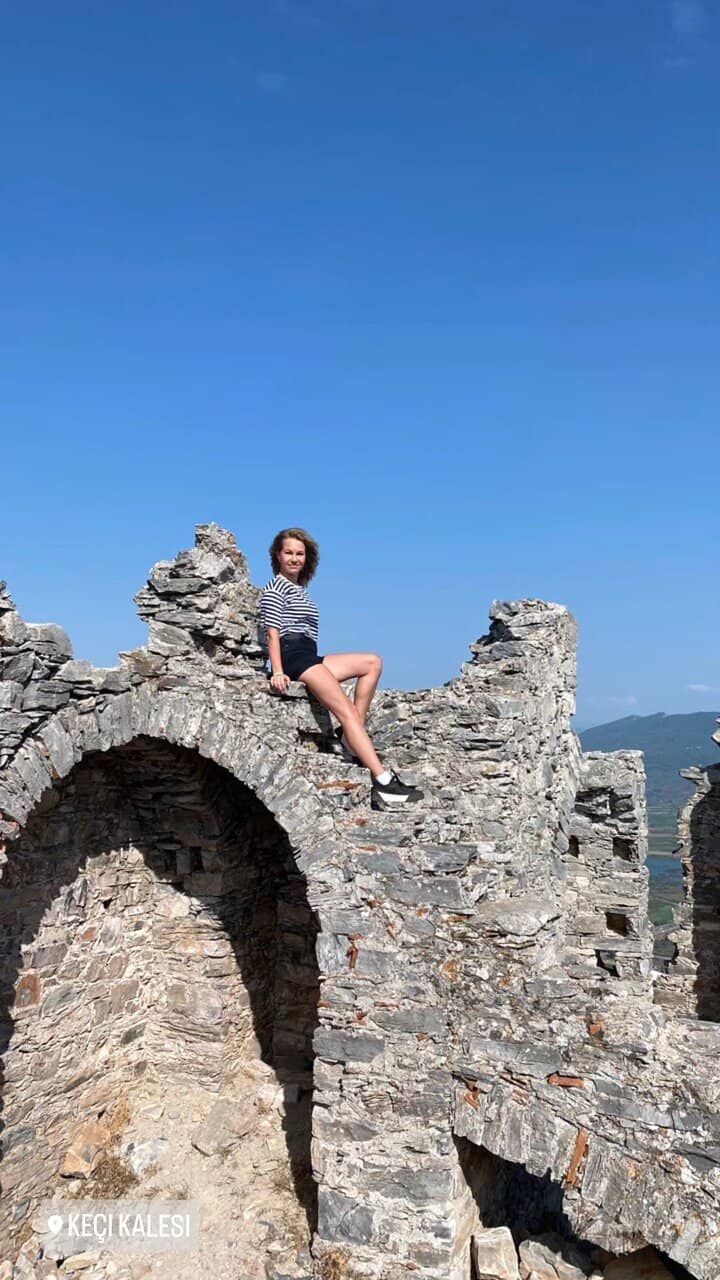 Tranquil Pine Forest Walk