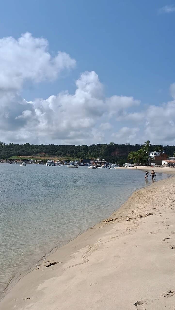 The Shell-Covered Shoreline