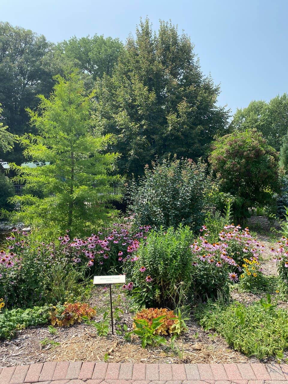 Tranquil Ponds and Waterfalls