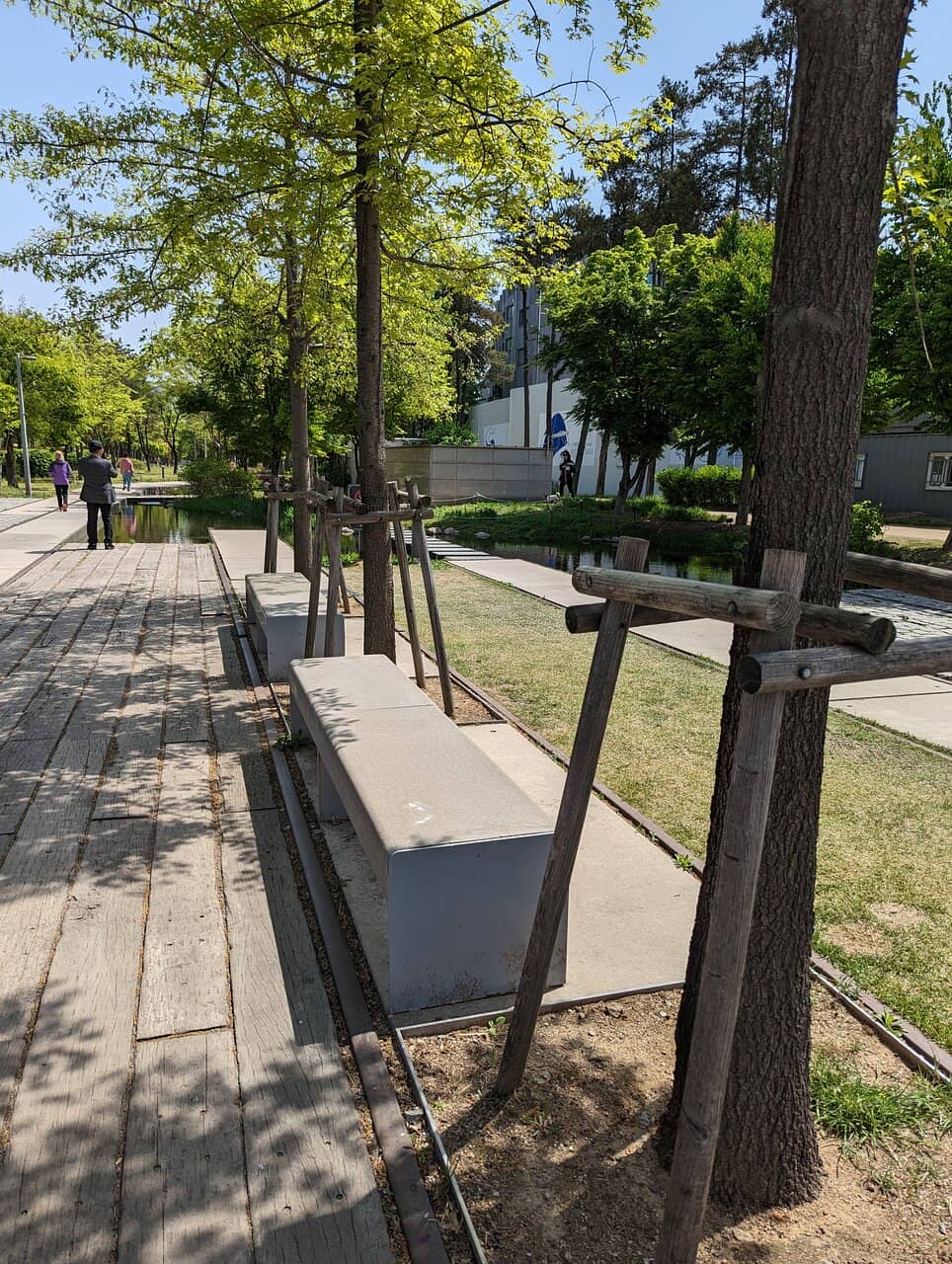 Dog-Friendly Atmosphere