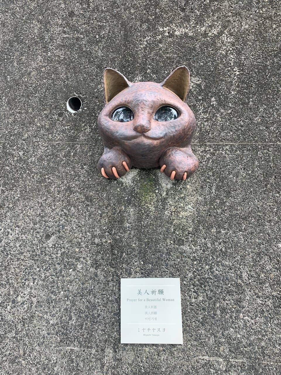 Artistic Interpretations