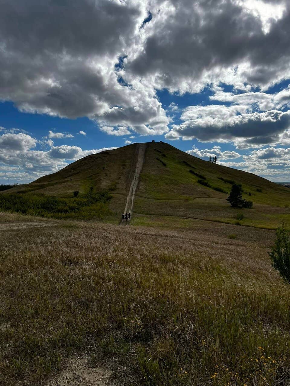 Little Kahuna's Tiki Bar