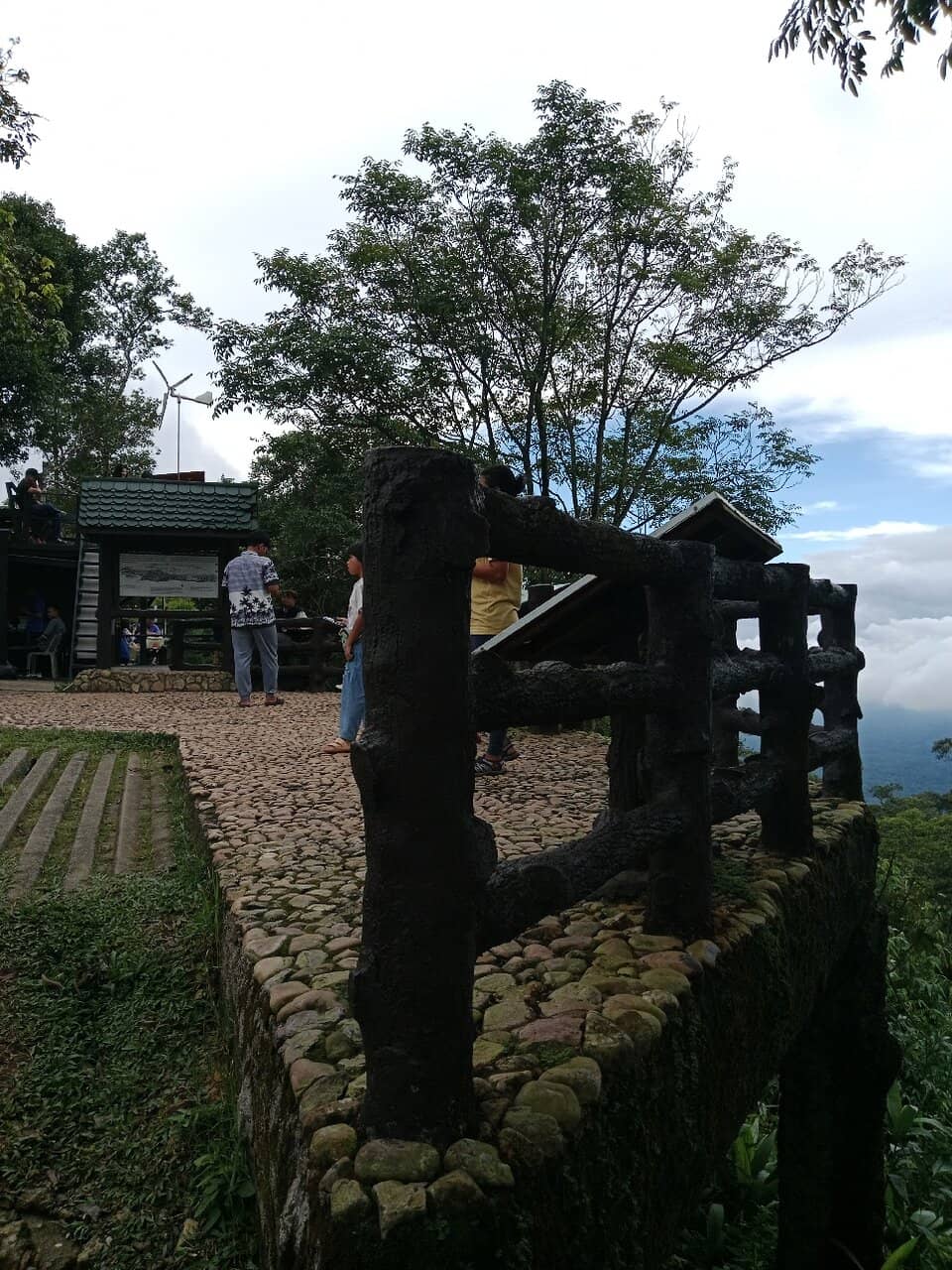 Signature Rice Omelette