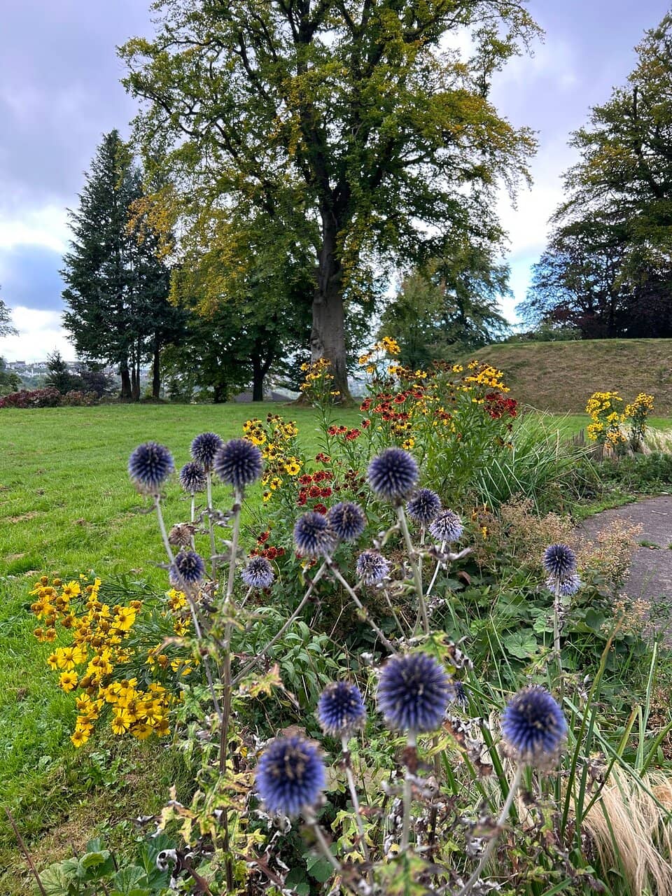 Cole's Monument Summit
