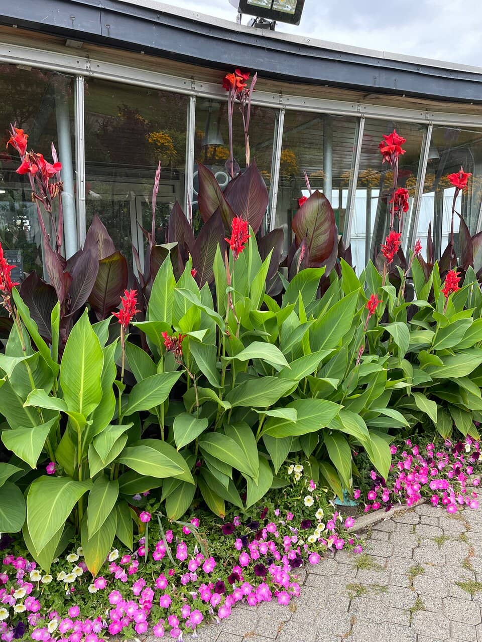 Tropical Plant Paradise
