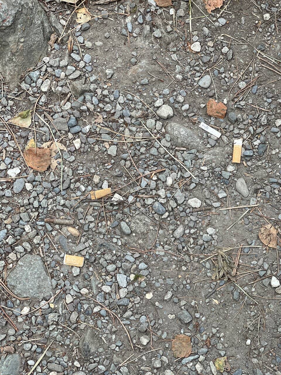 Tranquil Natural Setting