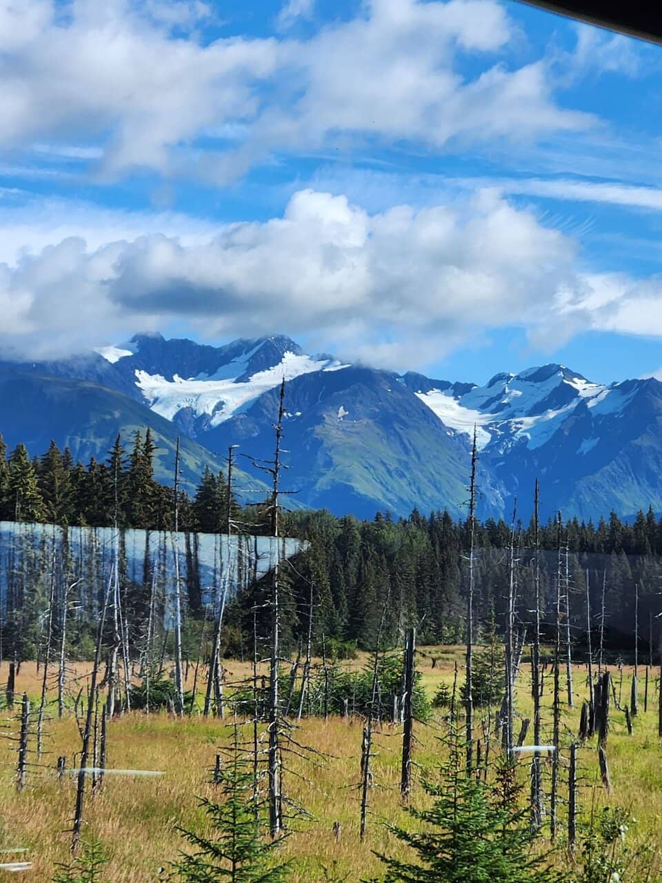 Spencer Glacier Whistle Stop