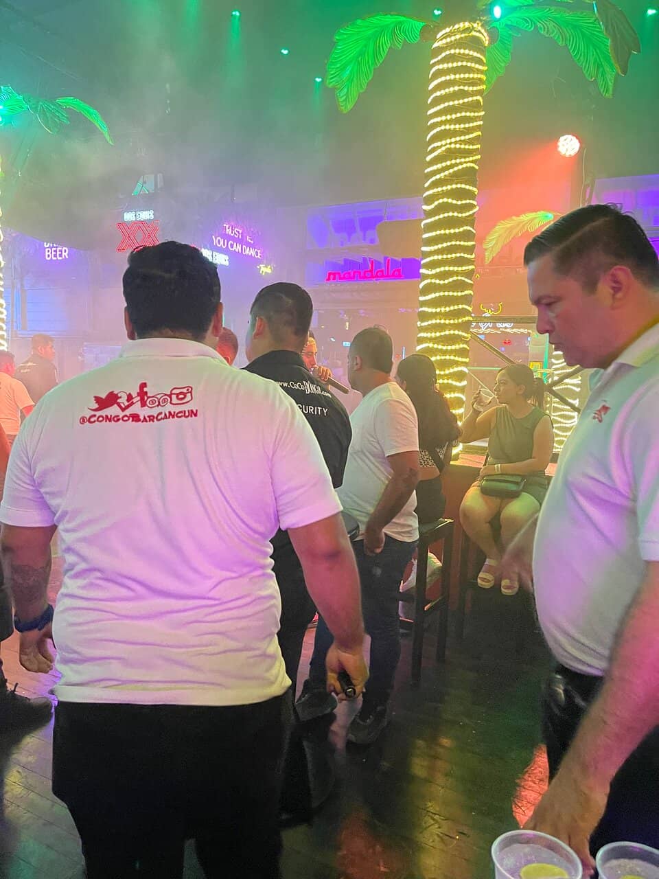 VIP Section Experience