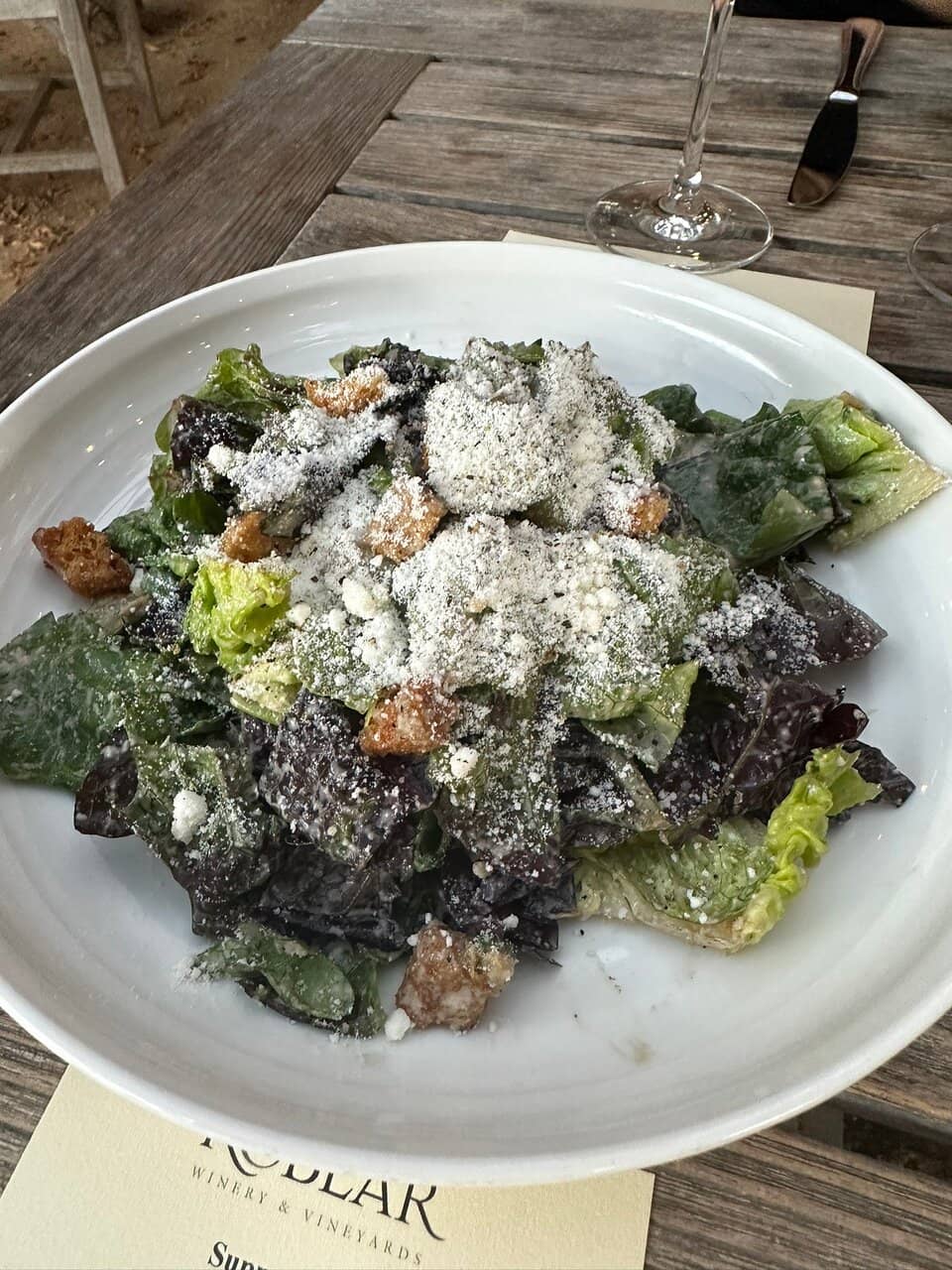 Picturesque Vineyard Views