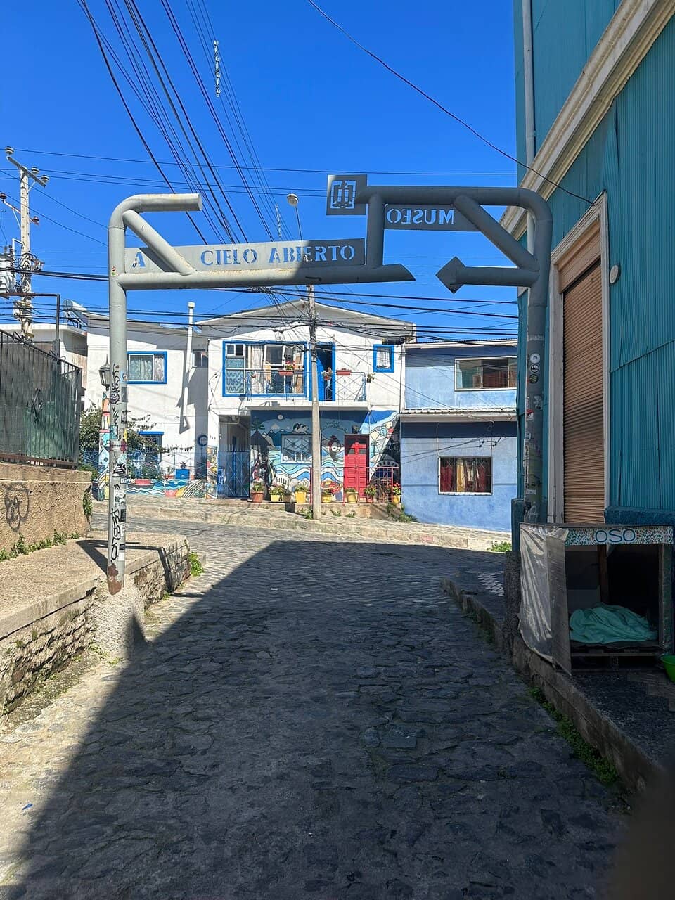 Vertical photo