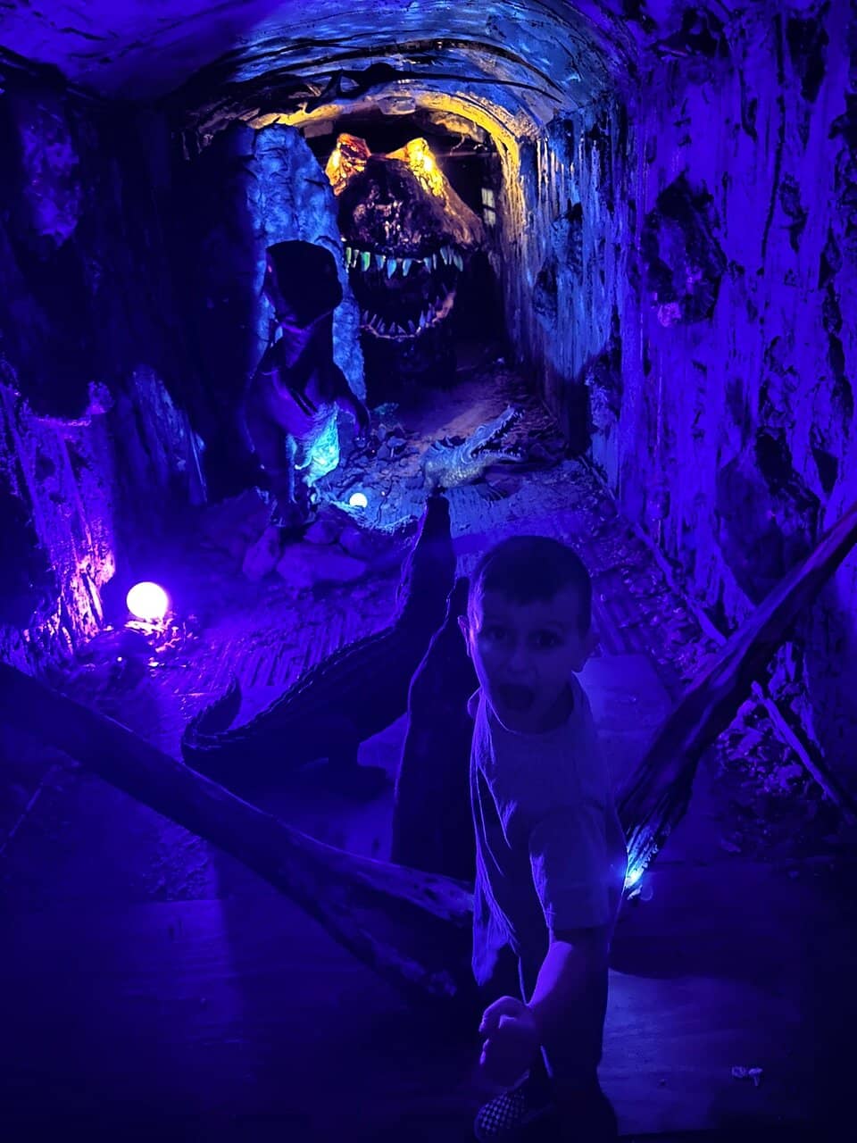 Interactive Animal Feeding