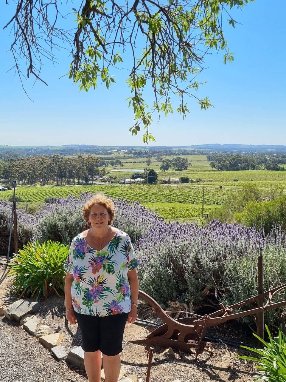 Panoramic Barossa Views