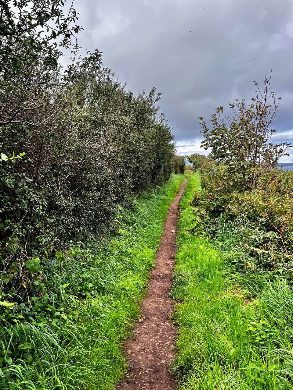 Pembrokeshire Coast Path