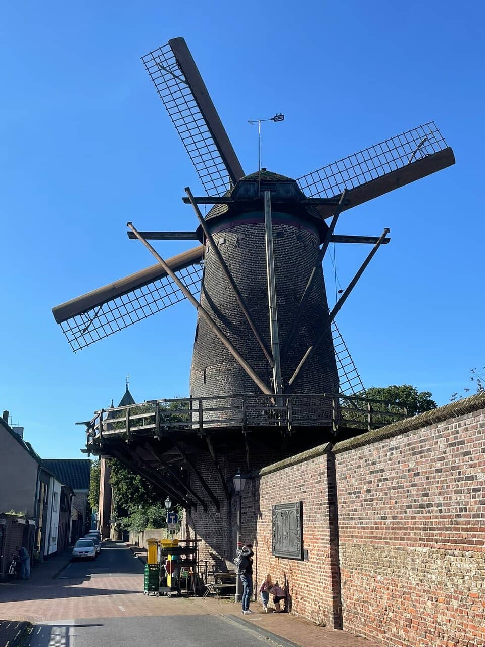 Organic Store & Bakery Delights