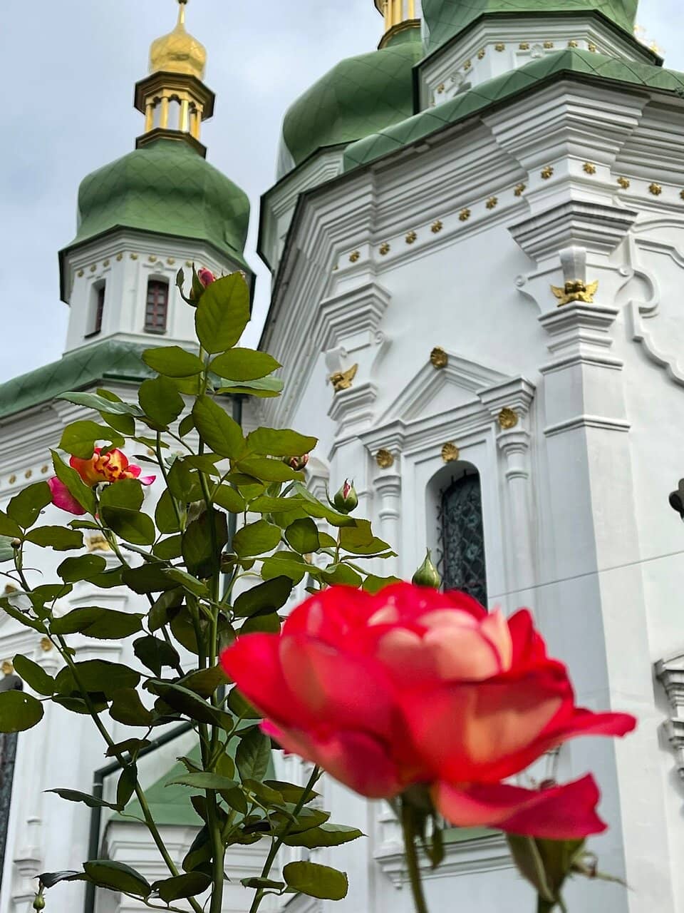 Linden Blossom Honey