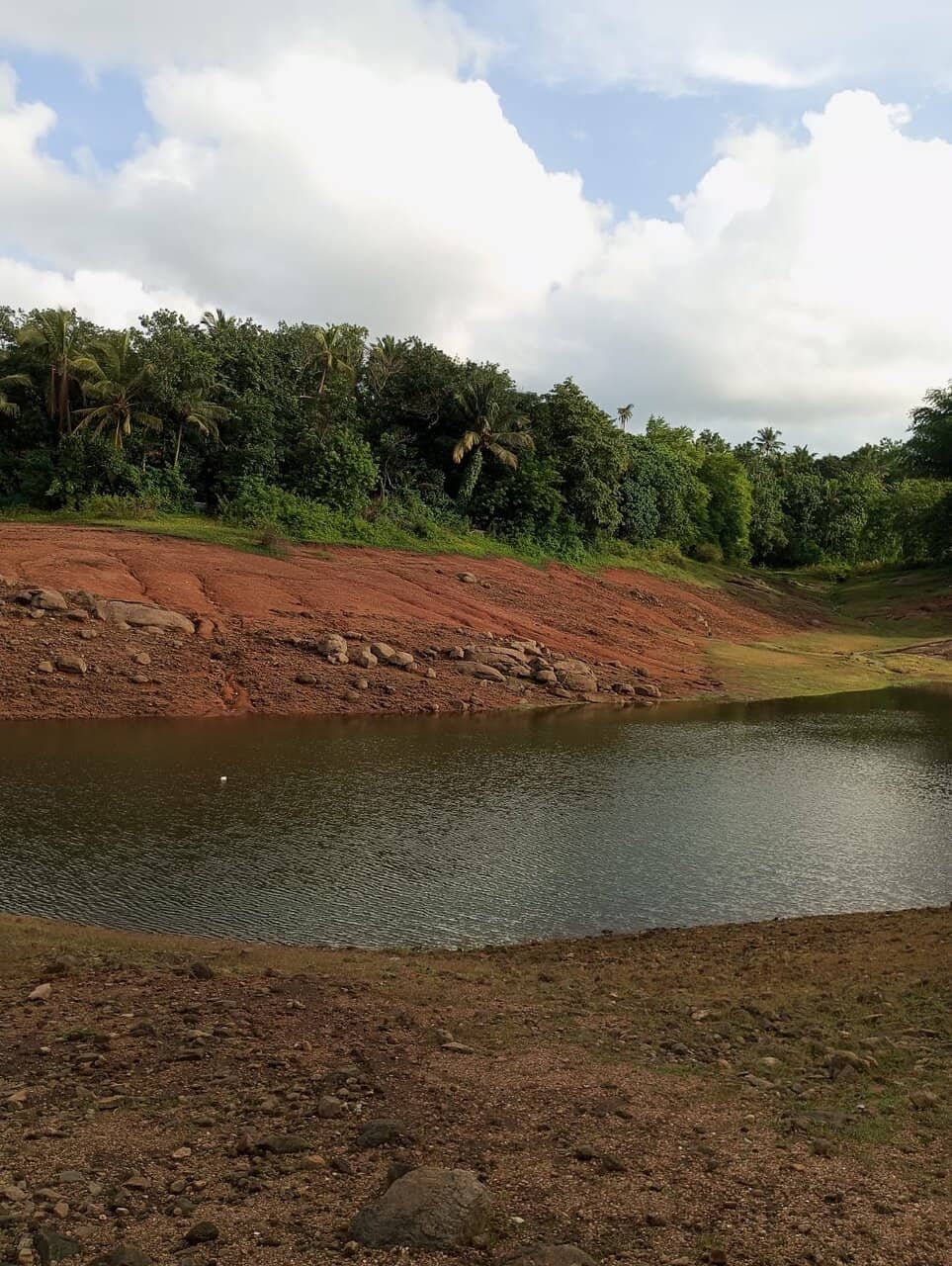 Wildlife Sanctuary Exploration