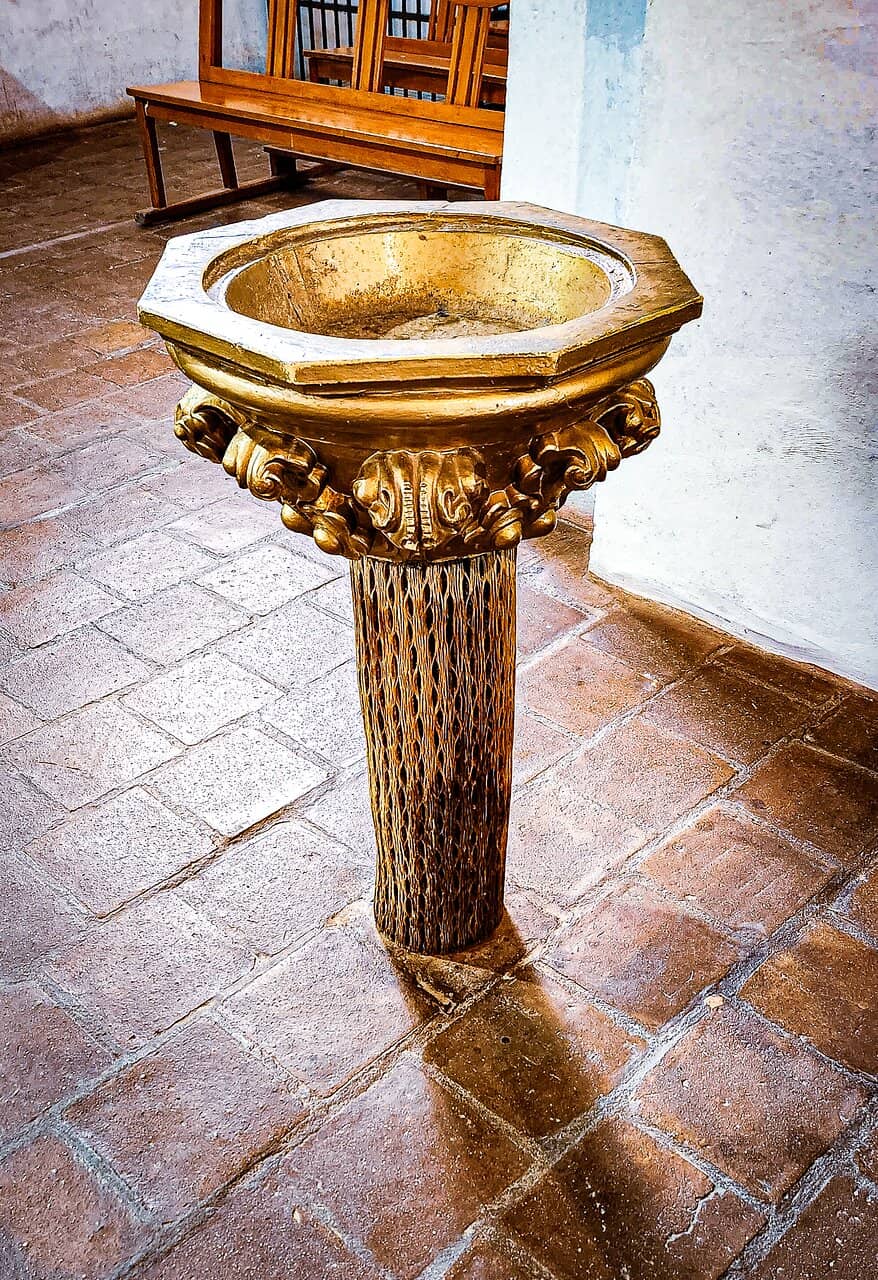 Cardón Wood Interior