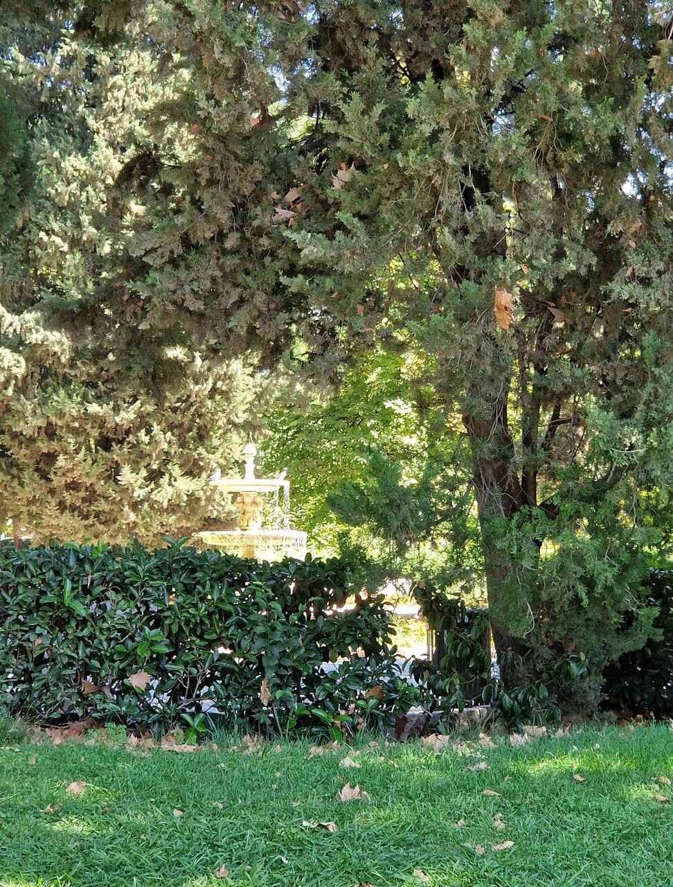 Geometric French Gardens