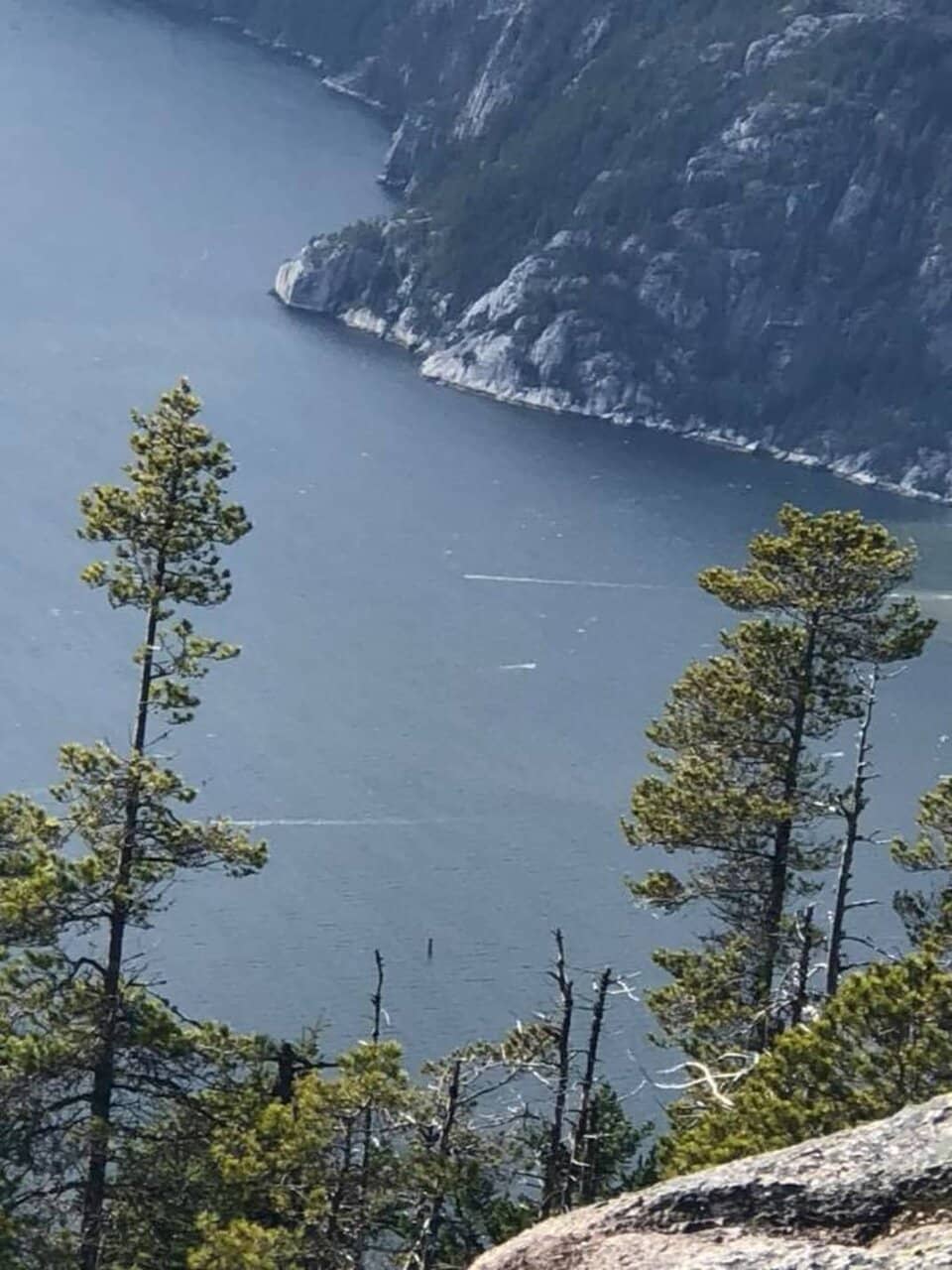 Belcarra Bluffs Lookout