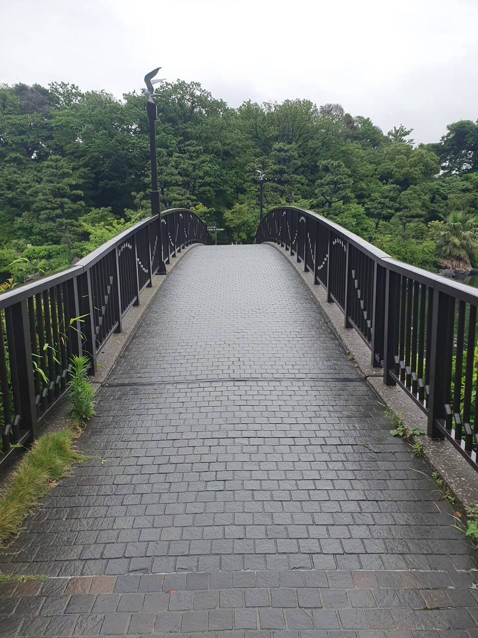 Children's Play Area