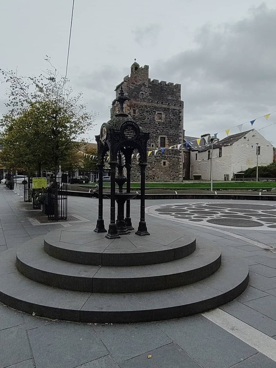 Unexpected Garden Discovery