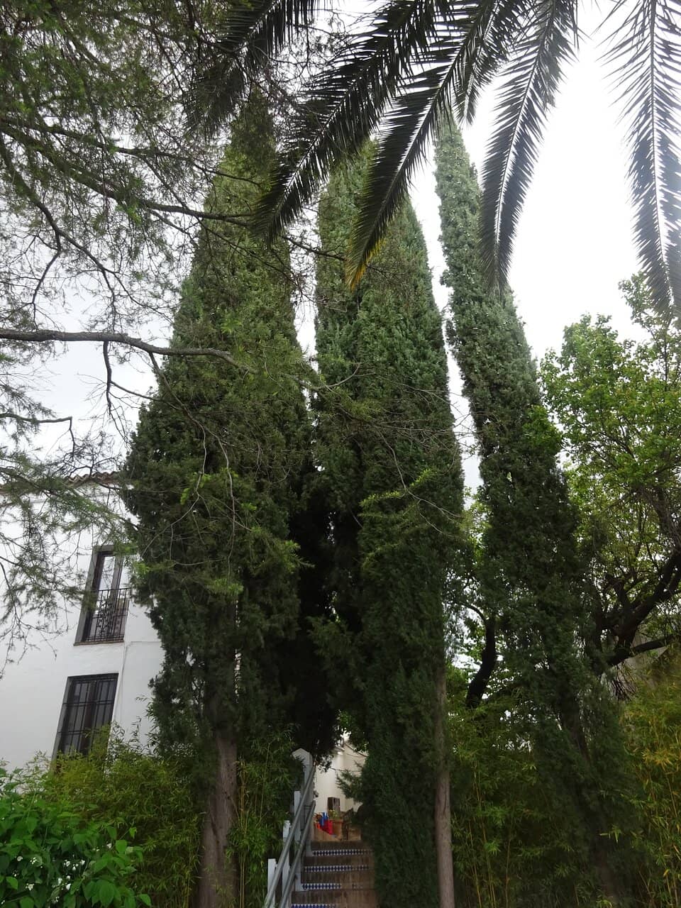 Vertical photo