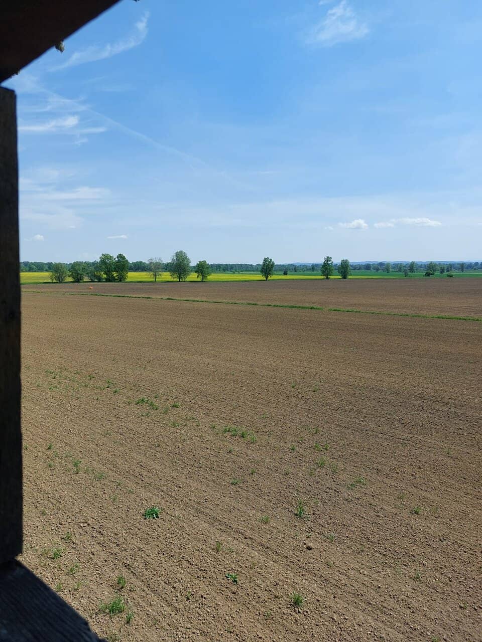 Stork Village of Čigoč